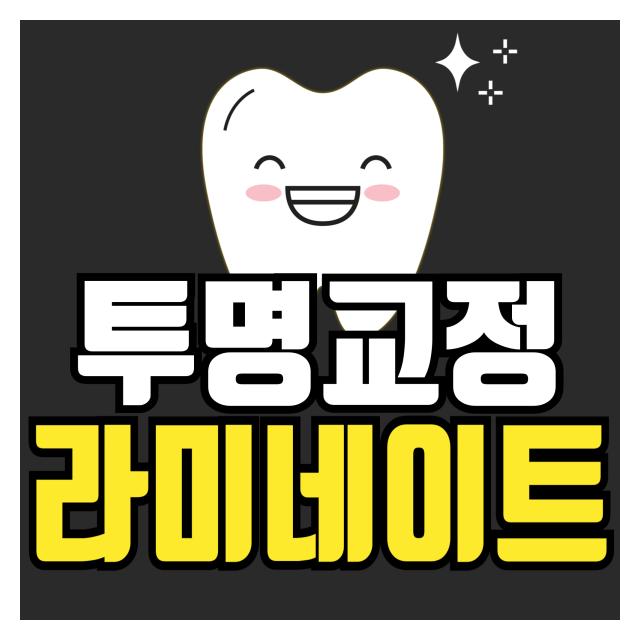 투명교정,라미네이트